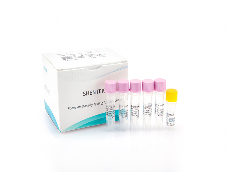 2×qPCR SHENmix（熒光探針法）